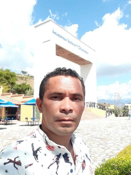 Reivo35 star xxx pics