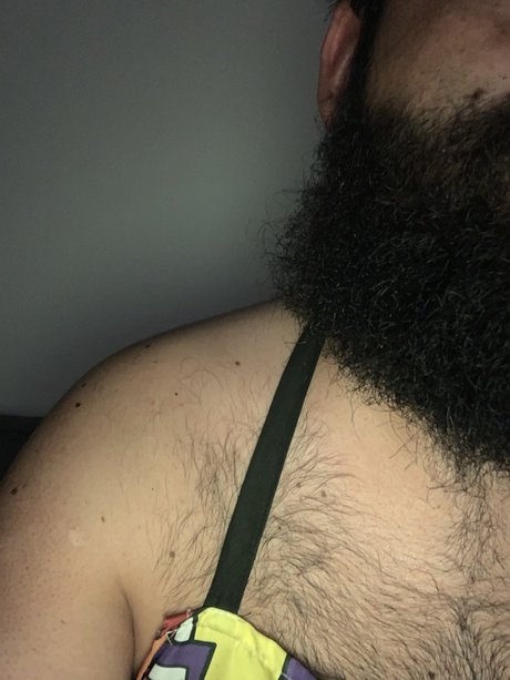 oso chileno free star picture