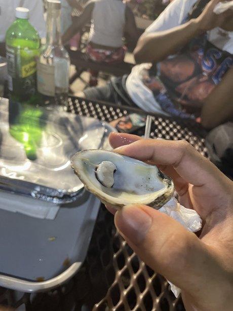 el osito nice model photos