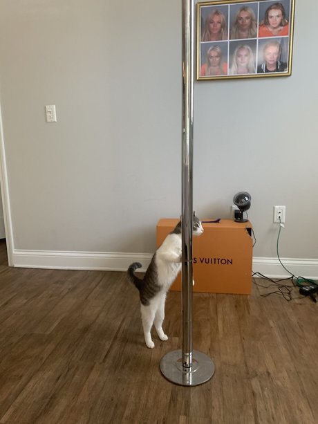 el osito actress pics