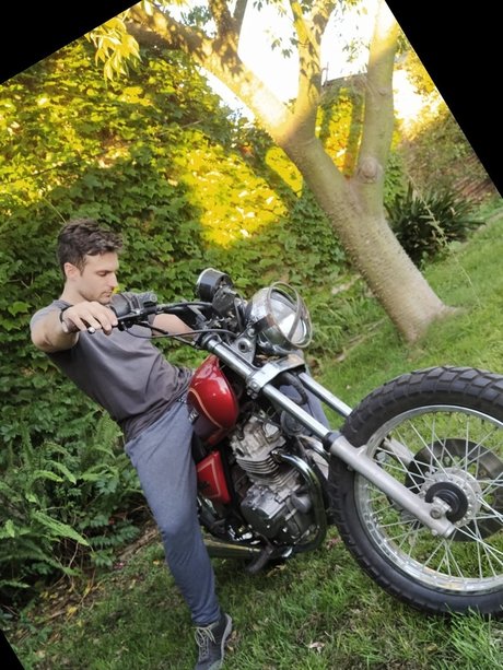 osito blanco model adult img