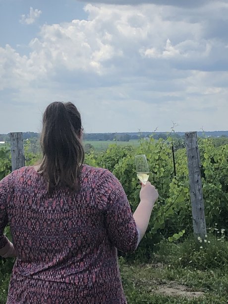 Lauren Wren star art galleries