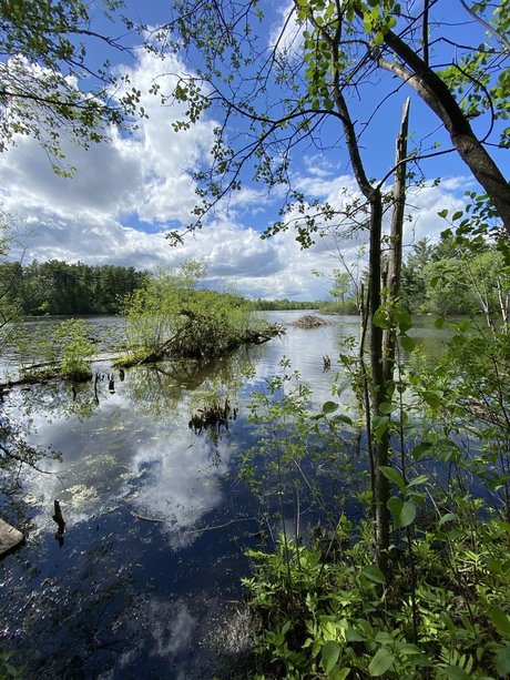 Lauren Wren best pornstar gallery