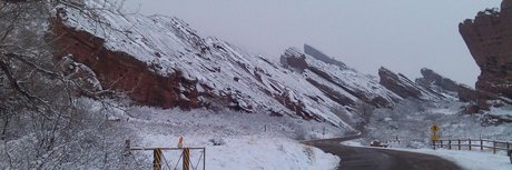 Origami Fox star sexy image