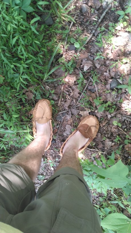 Orgasmsnoaktrees hd star pic