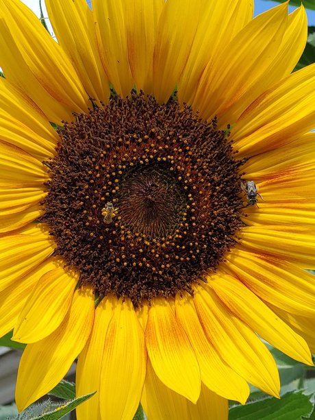 Oregongrl33 model image