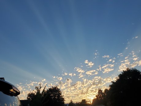 Oregongrl33 art star archive