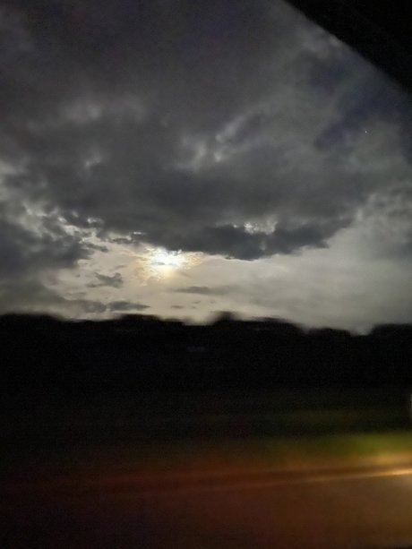 oralgoddess xxx actress pictures