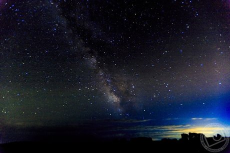 OPP Charlie pornstar sexy galleries