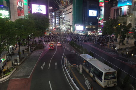 Qyel perfect star galleries