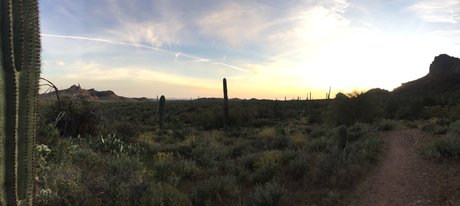 black bbw onlyfans pornographic pictures