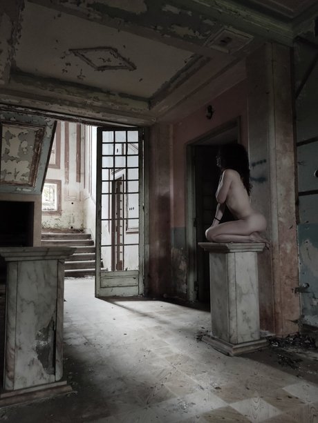 Pau S nice star picture