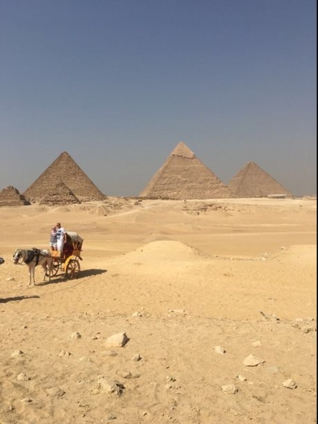 Patsy H hot actress picture