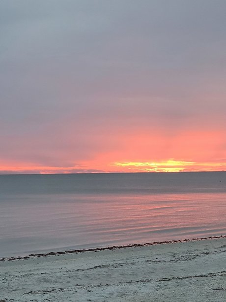 femboy gay onlyfans pornographic gallery