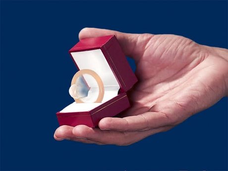 Paracidic Toxnig pornstar art galleries