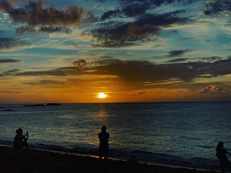 Pandaznation top star pictures