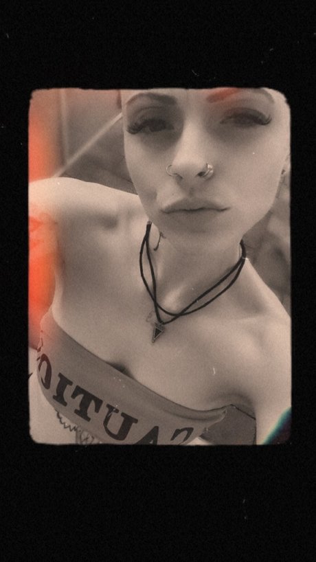 Alee pornstar perfect archive