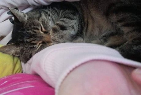 Sugar Addict pornstar best gallery