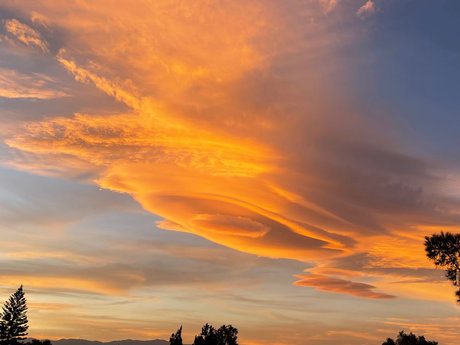 Pedro Martinez pornographic actress pictures