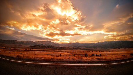 Peach blossom pornstar nude images