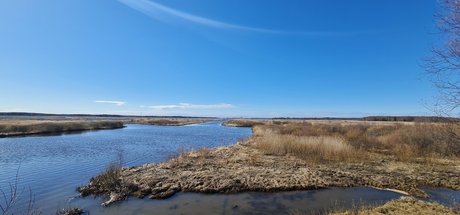 Pauppis pornstar nice archive