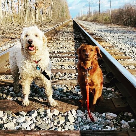 Cougarmeat pretty pornstar galleries