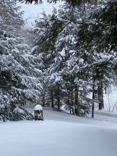 Peterovich model sex pictures