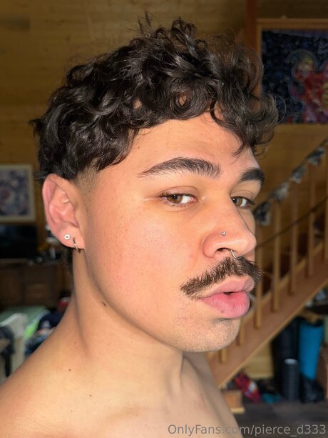 Pierce Dani model art picture