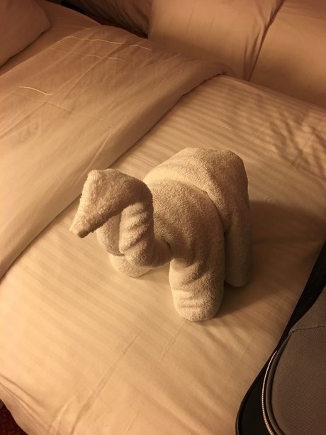 Phonyheart pornographic actress pictures