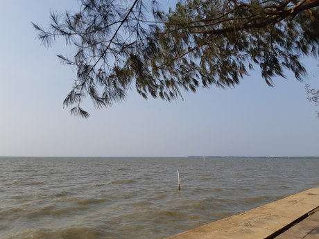 Chiba nice star pictures