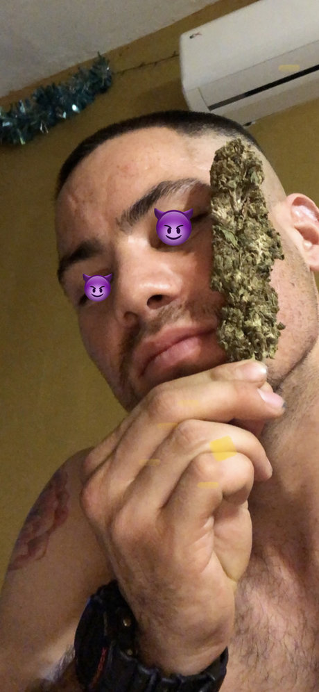 Buster model free archive