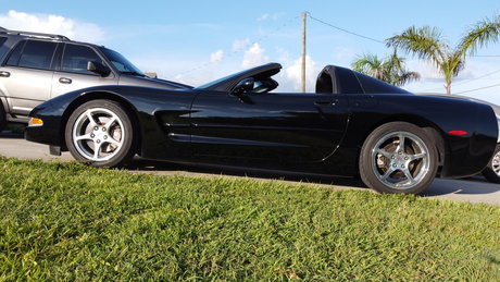 Jay W free star photos