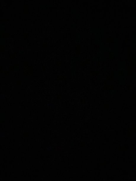 The animal star sexy archive