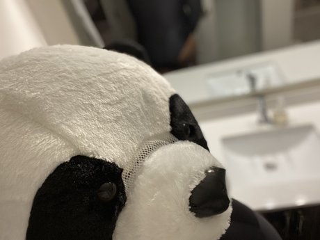 PlayBear pornstar nice pics