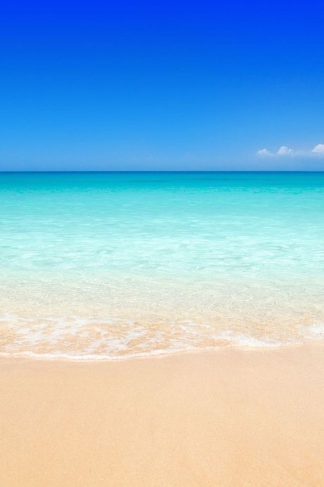 Ms Marie Honda porn actress picture