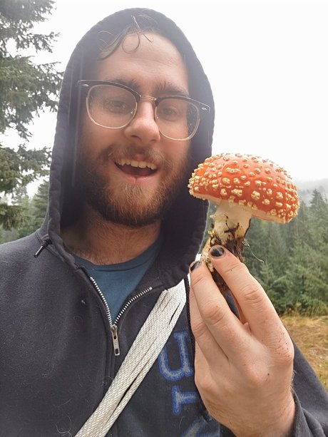 Plantdaddy96 star pretty gallery