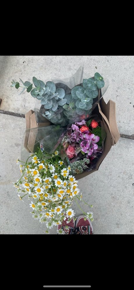 sweet pixii babe star xxx archive