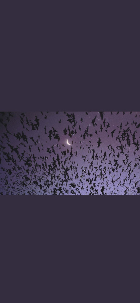 Lilith Faye pornstar naked img