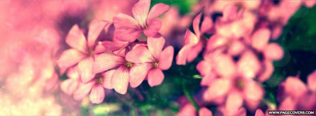 cutie pie nude pornstar photos