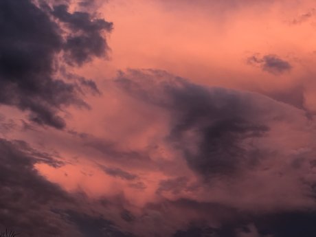 chels pornstar hd pictures