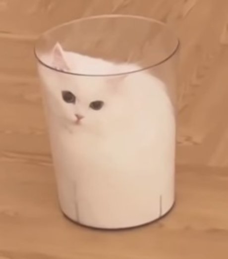 Claire CS star high quality picture