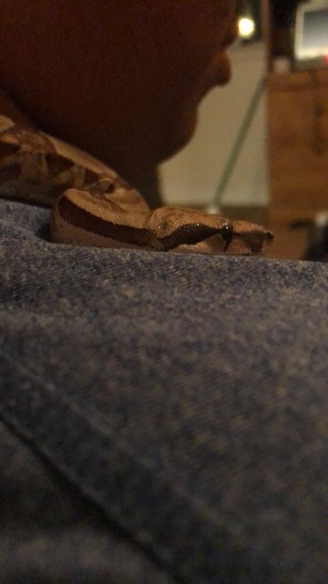 Daddy s little_ sexy pornstar galleries