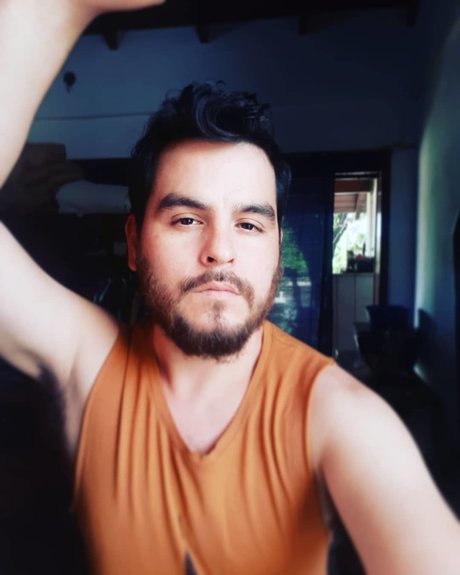 Green Cub model photo