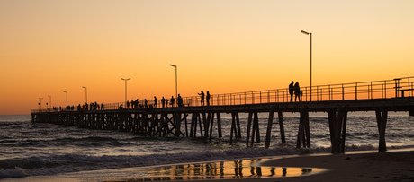 Chimera5 exclusive pornstar img