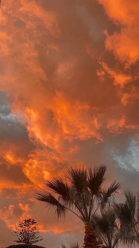 Daniele Patern_ pornstar best galleries