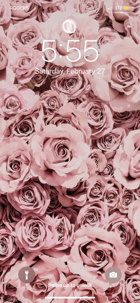 Coochy amp ampCream porn actress photos