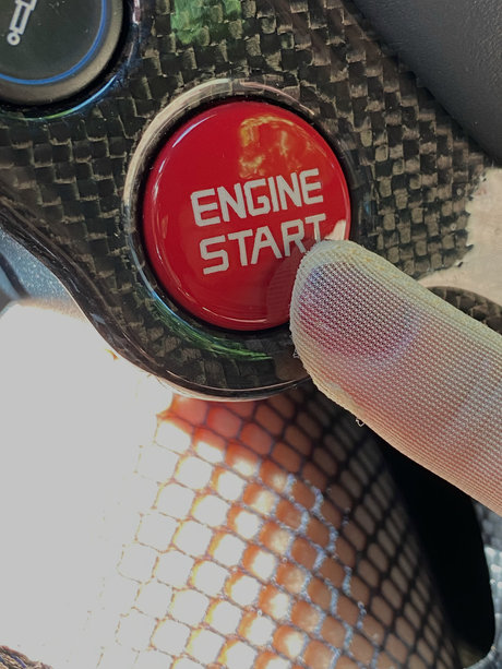 PrancingWhorz model image