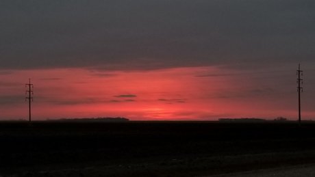 Willow The Bull porn star pics