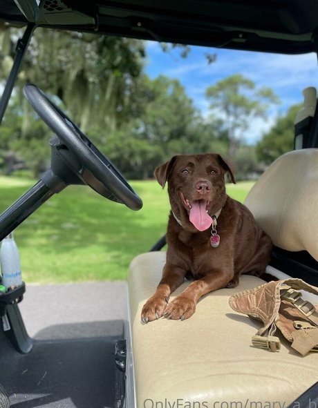 pawg girls onlyfans free sexy images