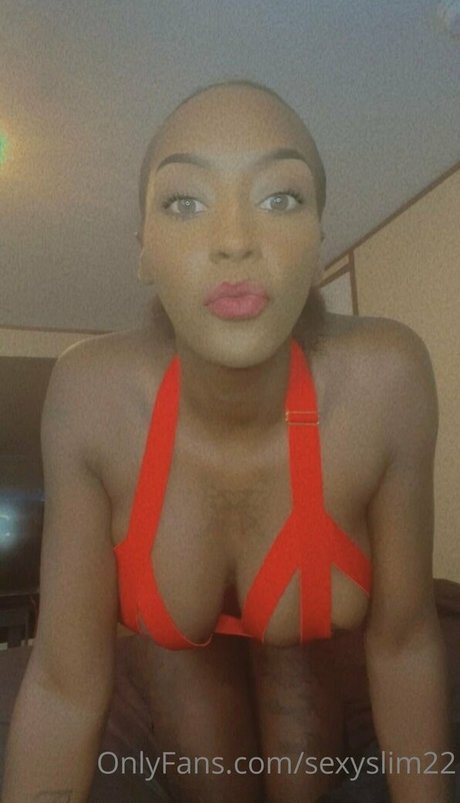 sexyslim22 top actress photo